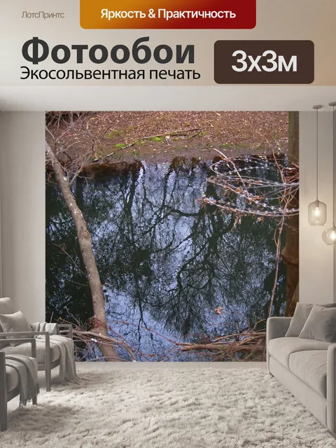 Фотообои отражение веток в воде