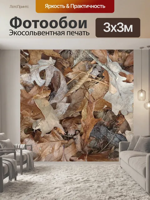 Фотообои Листья на лесном полу