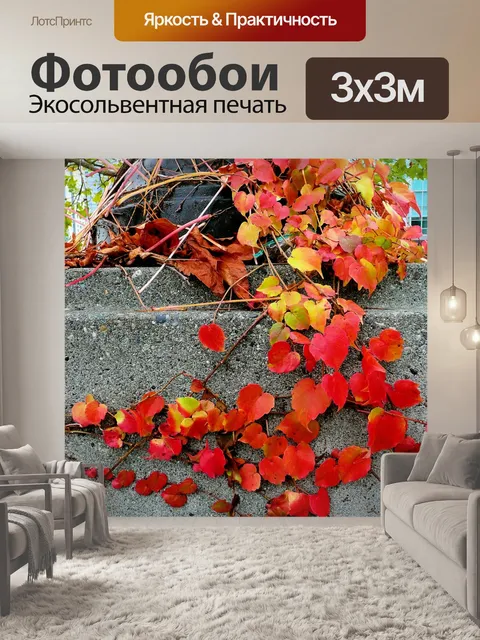 Фотообои Ползучее растение