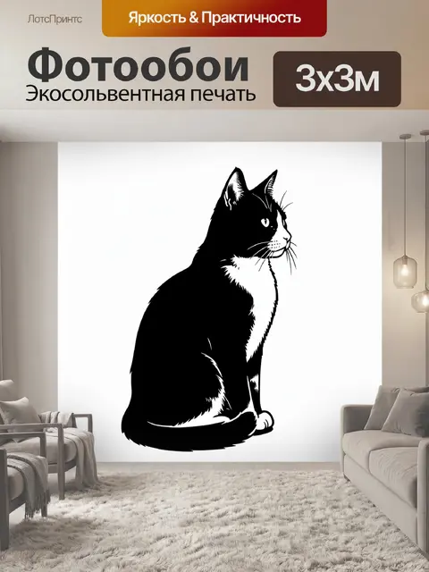 Фотообои Силуэт чёрного кота