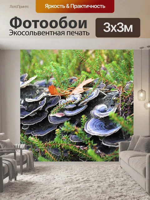 Фотообои Мох