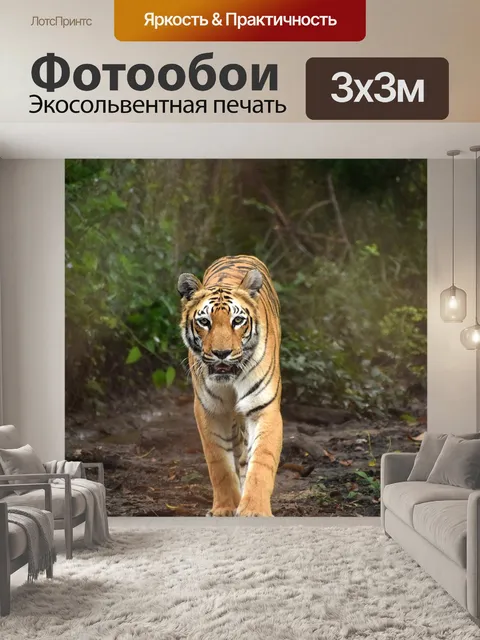 Фотообои Тигр