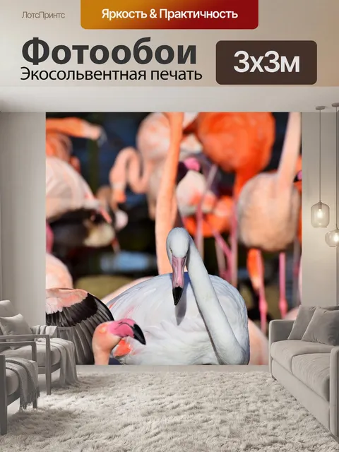 Фотообои Фламинго