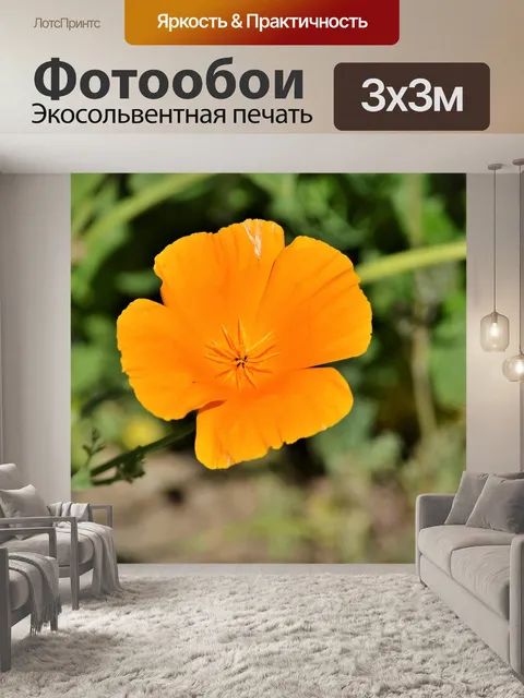 Фотообои Мак