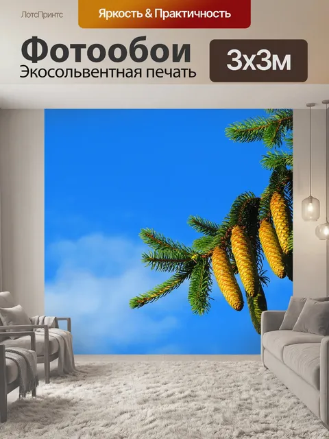 Фотообои Шишки