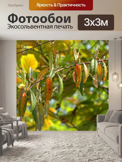 Фотообои Листья