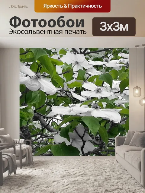 Фотообои Зеленый