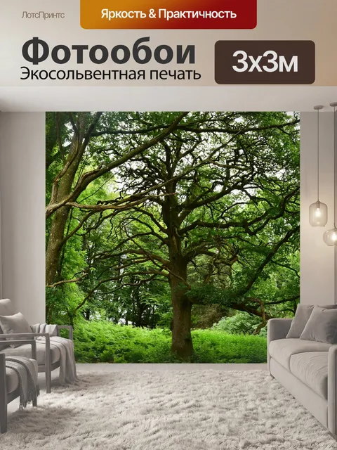 Фотообои Природа