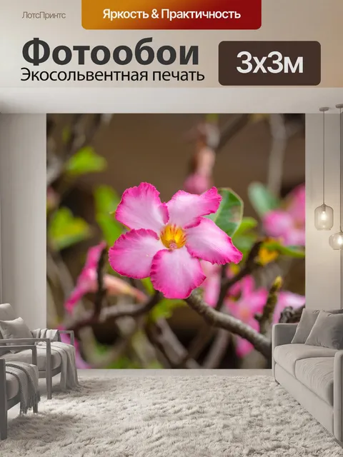 Фотообои Увлекательно