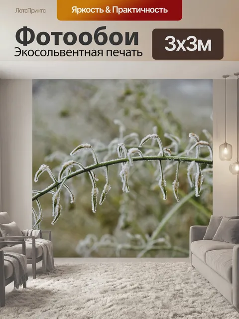 Фотообои Зима