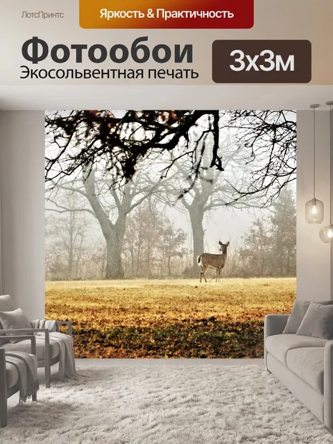 Фотообои Белохвостый олень в тумане
