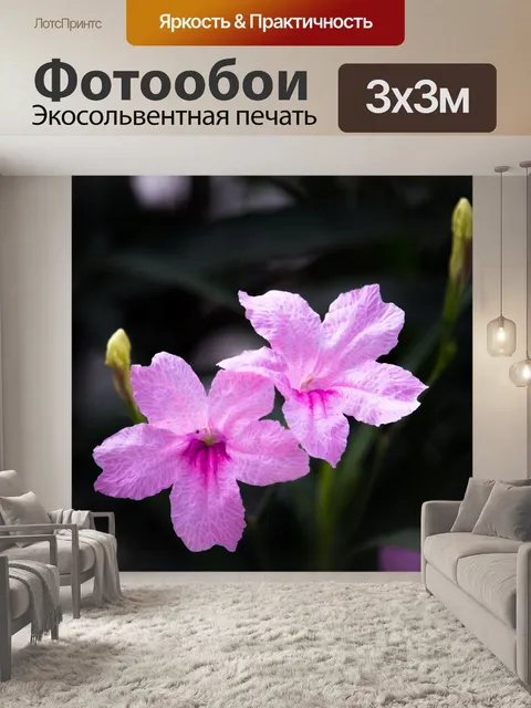 Фотообои Цветы