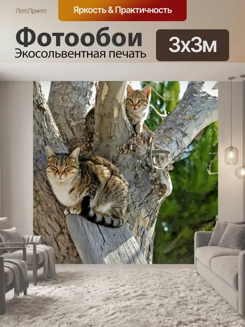 Фотообои Кошки