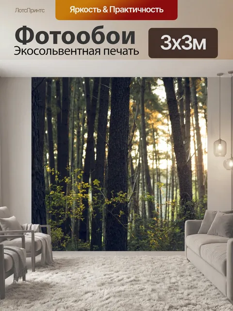 Фотообои Лес
