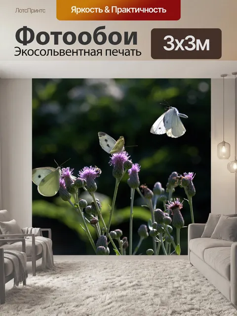 Фотообои Бабочки