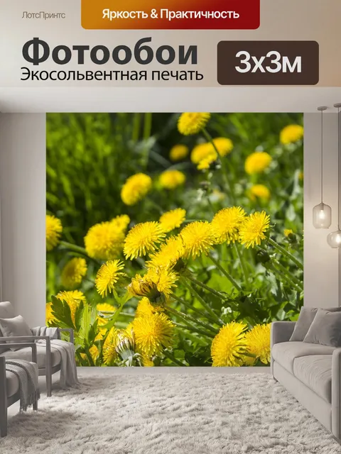 Фотообои Одуванчики