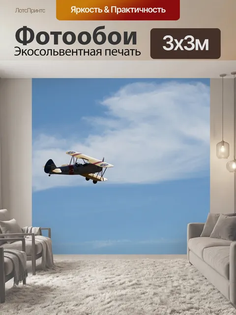 Фотообои Военная птица