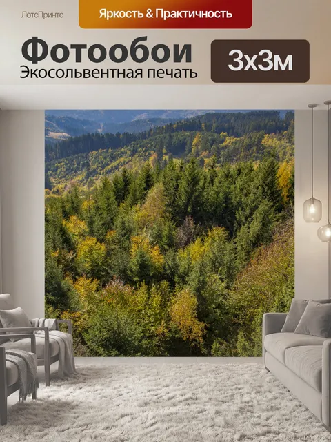 Фотообои Осенний лес