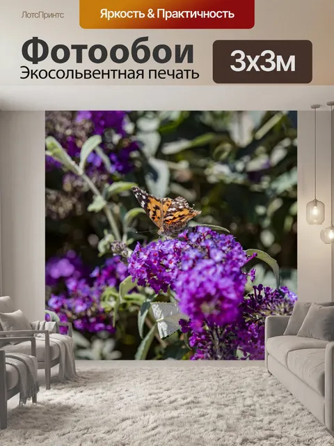 Фотообои Раскрашенная Леди Бабочка