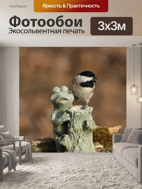 Фотообои Чернокожие Чикади и лягушка