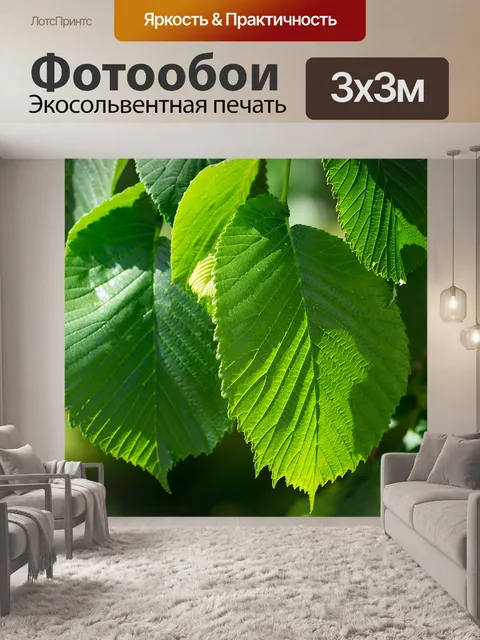 Фотообои Листья