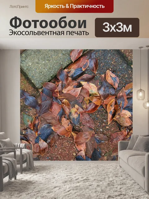 Фотообои опавшие сухие листья