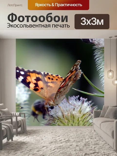 Фотообои Бабочка