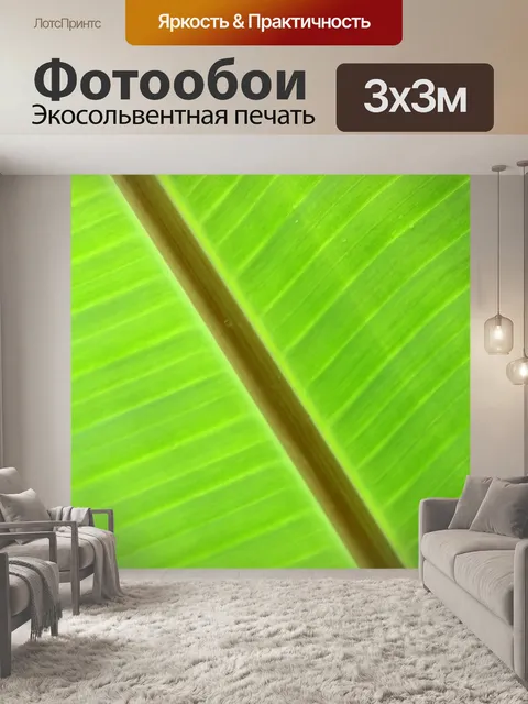 Фотообои Зеленый лист банан