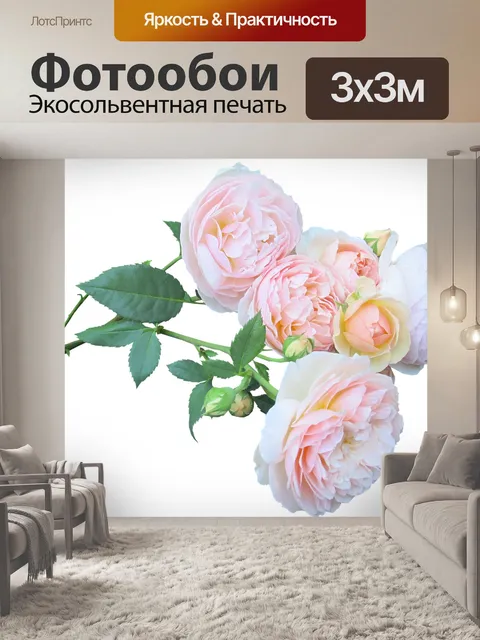 Фотообои Роза