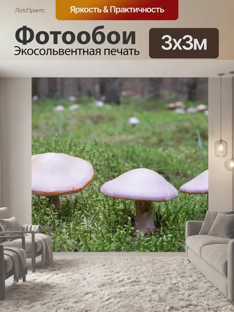 Фотообои Грибы