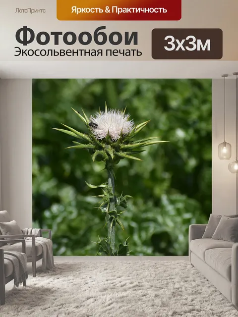Фотообои Цветы