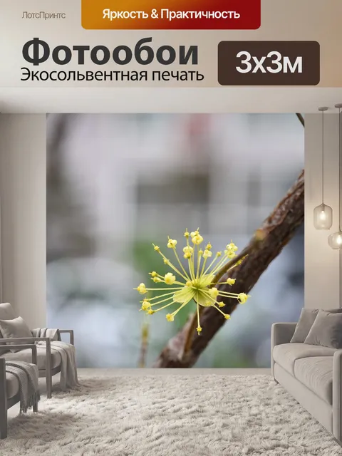 Фотообои Кукурузное молоко