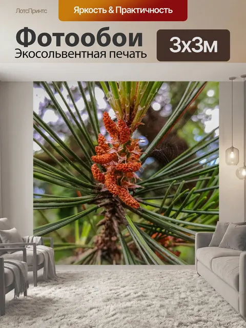 Фотообои Лес