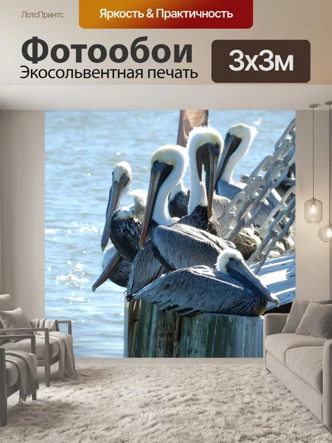Фотообои Птицы
