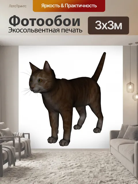 Фотообои домашняя кошка
