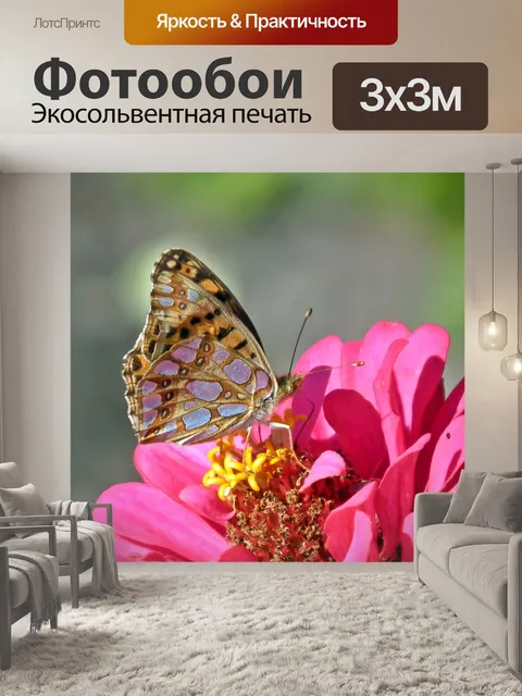 Фотообои Бабочка