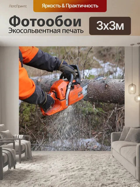 Фотообои Лес