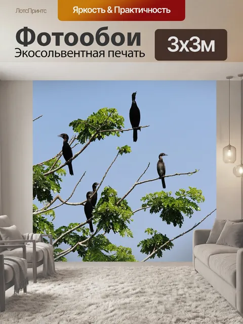 Фотообои Хичкок