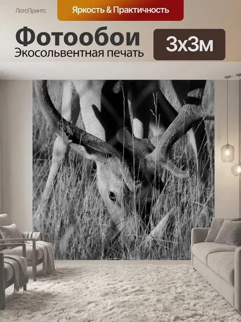 Фотообои Лань