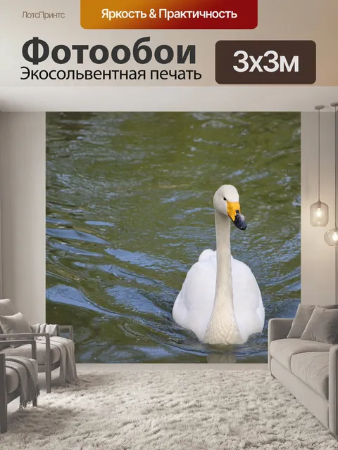 Фотообои Птица