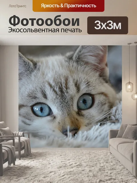 Фотообои Кошка