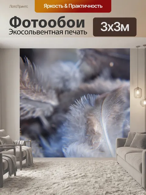 Фотообои Птичьи перья 4