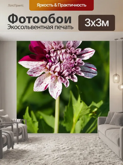 Фотообои Пейзаж