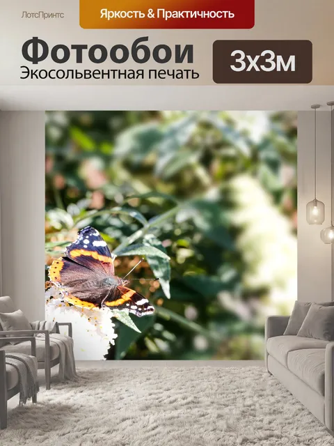 Фотообои Бабочка