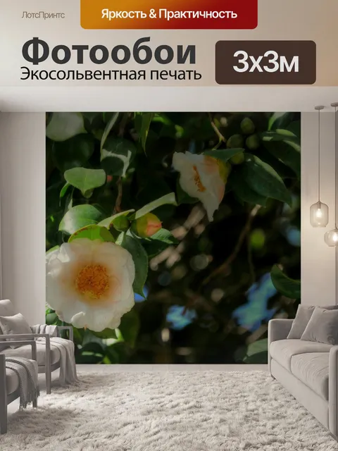 Фотообои Белый цветок камелии