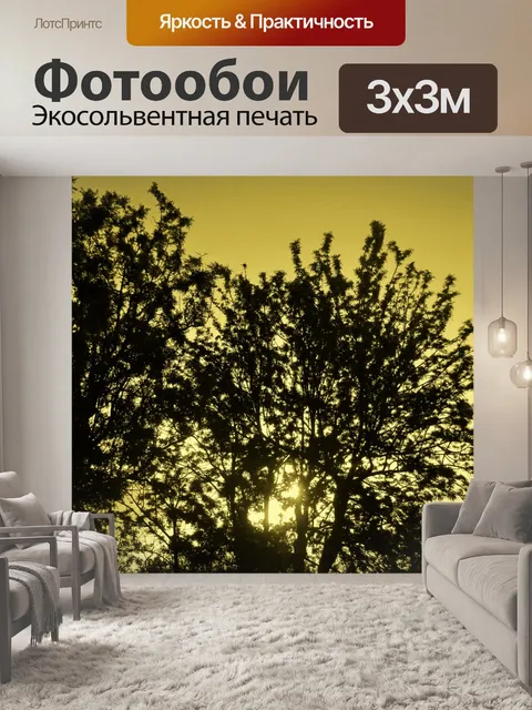 Фотообои Яркое солнце, поздно полдень в золотой о