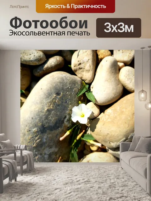 Фотообои Цветок в скалах