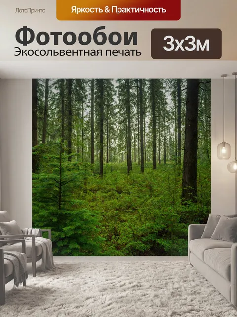 Фотообои неподвижный лес с вечнозелеными растениями и четкими силуэтами деревьев
