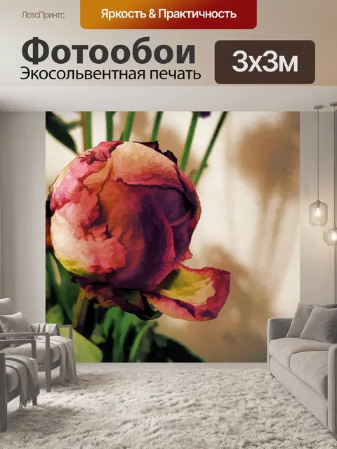 Фотообои Цветок пиона