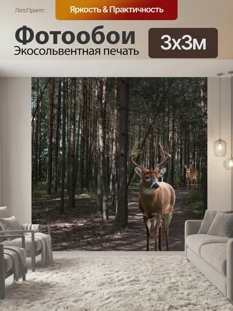 Фотообои Лес